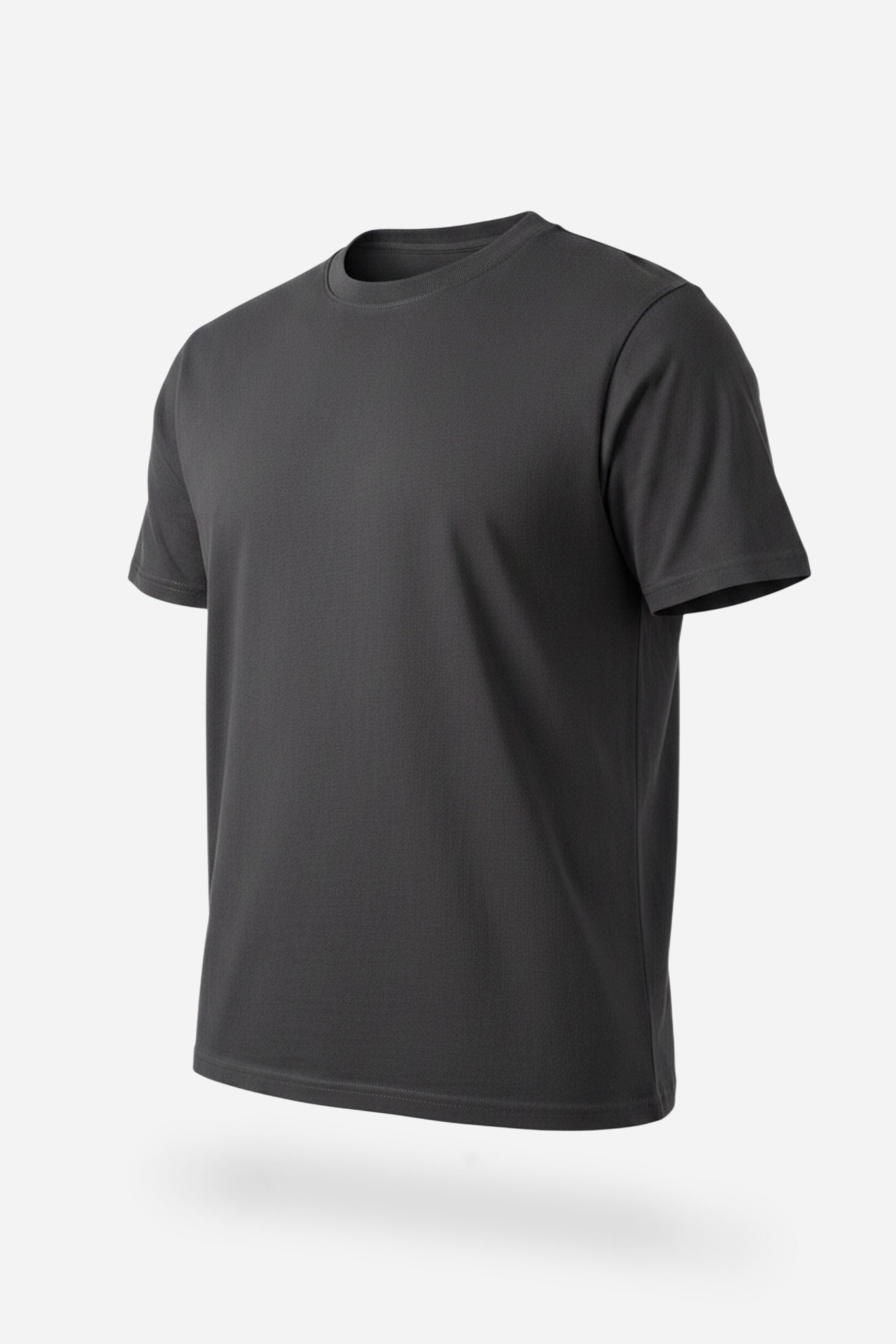 Core T-Shirt Regular Fit Iron