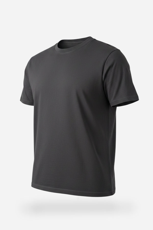 Core T-Shirt Regular Fit Iron